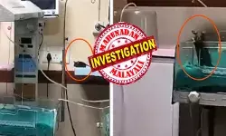 രാവിലെ ഐസിയുവിൽ കയറിയ നഴ്സുമാർ കണ്ടത് നെഞ്ചുലയ്ക്കുന്ന കാഴ്ച; വിരലുകളിലും തലയിലും കടി കൊണ്ട് ജീവനറ്റ നിലയിൽ കുഞ്ഞ് ശരീരം; സ്ഥലത്ത് പോലീസ് അടക്കം പാഞ്ഞെത്തി; വേദനിപ്പിച്ച് സിസിടിവി ദൃശ്യങ്ങൾ; മധ്യപ്രദേശിലെ സർക്കാർ ആശുപത്രിയിൽ സംഭവിച്ചത് രാവിലെ ഐസിയുവിൽ കയറിയ നഴ്സുമാർ കണ്ടത് നെഞ്ചുലയ്ക്കുന്ന കാഴ്ച; വിരലുകളിലും തലയിലും കടി കൊണ്ട് ജീവനറ്റ നിലയിൽ കുഞ്ഞ് ശരീരം; സ്ഥലത്ത് പോലീസ് അടക്കം പാഞ്ഞെത്തി; വേദനിപ്പിച്ച് സിസിടിവി ദൃശ്യങ്ങൾ; മധ്യപ്രദേശിലെ സർക്കാർ ആശുപത്രിയിൽ സംഭവിച്ചത്