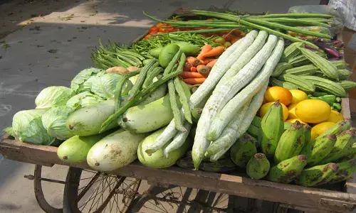 സംസ്ഥാനത്ത് പച്ചക്കറിയുത്പാദനം കൂടി; ഓണക്കാലത്ത് നേട്ടം