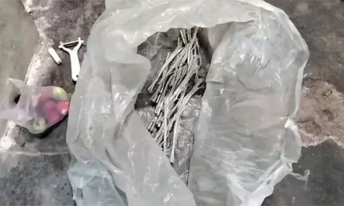 പാലക്കാട് സ്കൂൾ പരിസരത്ത് സ്ഫോടനമുണ്ടായ സംഭവം; പരിശോധനയിൽ പന്നിപ്പടക്കം കണ്ടെത്തി; അറസ്റ്റിലായത് ബിജെപി പ്രവർത്തകർ