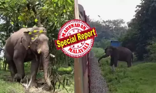 ട്രാക്കിലൂടെ സാധാരണ വേഗതയിലെത്തിയ ട്രെയിൻ; മുൻപിലെ ഒരാളുടെ കൈവീശലിൽ ഒന്ന് ചവിട്ടി; കണ്ണിന് തീരെ കാഴ്ചയില്ല; ദേഹത്ത് മുറിവുകൾ പറ്റി ആകെ ദയനീയാവസ്ഥ; ഒടുവിൽ ചുരുളിക്കൊമ്പനെ ഉൾക്കാട്ടിലേക്ക് തുരുത്തിയത് ഇങ്ങനെ