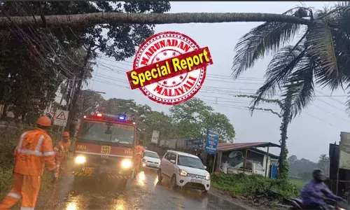 തിരക്കേറിയ റോഡില്‍ വൈദ്യുതി ലൈനിന് മുകളില്‍ വീണ തെങ്ങ് അതിസാഹസികമായി മുറിച്ചു മാറ്റി അഗ്‌നിരക്ഷാ സേന: ഈ സേന ഫയറാണെന്ന് നാട്ടുകാര്‍