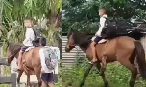 ഓറ ഫാമിംഗ് ചൈൽഡ്..; സ്‌കൂൾ കവാടത്തിന് മുന്നിലെത്തിയ കുട്ടി; സ്ക്കൂൾ ബസിൽ വരാനുള്ള പ്രായത്തിൽ ചെറുക്കൻ വന്നത് കുതിരപ്പുറത്ത്; കൈയ്യടിച്ച് വരവേറ്റ് കൂട്ടുകാർ; ദൃശ്യങ്ങൾ വൈറൽ