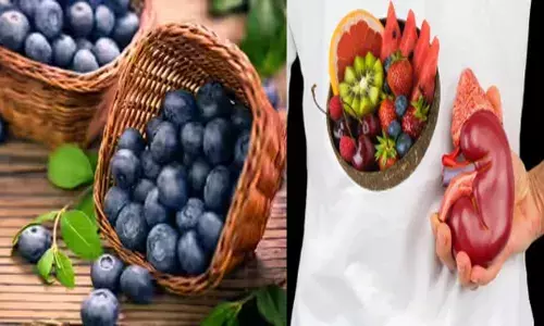 ഈ പഴങ്ങൾ കഴിച്ചാൽ അസുഖങ്ങൾ എല്ലാം മാറും; വൃക്കകളുടെ നല്ല ആരോഗ്യത്തിന് കഴിക്കേണ്ട ഫ്രൂട്ട്സ് എന്തൊക്കെയെന്ന് നോക്കാം; വിദഗ്ധർ പറയുന്നത്