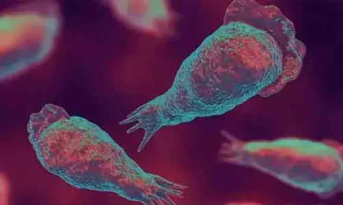 അമീബിക് മസ്തിഷ്‌ക ജ്വരം ബാധിച്ച് ചികിത്സയിലായിരുന്ന യുവാവ് മരിച്ചു; മരിച്ചത് സുല്‍ത്താന്‍ ബത്തേരി സ്വദേശി രതീഷ്