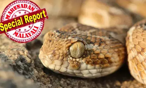 ഇന്ത്യയില്‍ എല്ലാ വര്‍ഷവും പാമ്പ് കടിയേറ്റ് മരിക്കുന്നത് 46,000 മുതല്‍ 60,000 വരെ ആളുകള്‍; ഇത് ലോക രാജ്യങ്ങളെക്കാള്‍ ഉയര്‍ന്ന നിരക്ക്; ഇന്ത്യയിലെ ഏറ്റവും മാരകമായ പാമ്പുകള്‍ കൂടുതല്‍ അപകടകാരികളാകുന്നതായി പുതിയ പഠനം; കാരണം കാലാവസ്ഥാ വ്യതിയാനം മൂലം അവയുടെ ആവാസ വ്യവസ്ഥകളില്‍ ഉണ്ടാകുന്ന മാറ്റം