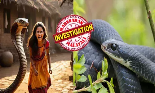 അയ്യോ..ദേ കറുത്ത പാമ്പ് ..; രാത്രി കിടന്നാൽ ഉറക്കമില്ല; അതിഥി തന്നെ പതിമൂന്ന് പ്രാവശ്യം കടിച്ചെന്നും വെളിപ്പെടുത്തൽ; ഒടുവിൽ ഭയന്ന് വിറച്ചുപോയ പെൺകുട്ടി ചെയ്തത്; അന്തം വിട്ട് ഗ്രാമവാസികൾ