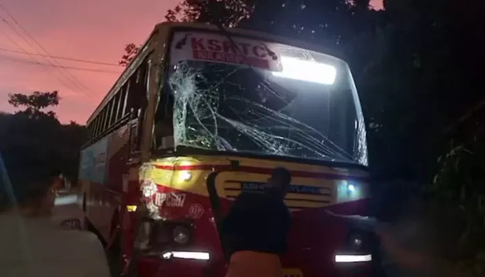 കൊല്ലം ഓയൂരില് കെഎസ്ആര്ടിസി ബസ്സും സ്വകാര്യ ബസ്സും കൂട്ടിയിടിച്ച് അപകടം; നിരവധി യാത്രക്കാര്ക്ക് പരിക്ക് കൊല്ലം ഓയൂരില് കെഎസ്ആര്ടിസി ബസ്സും സ്വകാര്യ ബസ്സും കൂട്ടിയിടിച്ച് അപകടം; നിരവധി യാത്രക്കാര്ക്ക് പരിക്ക്