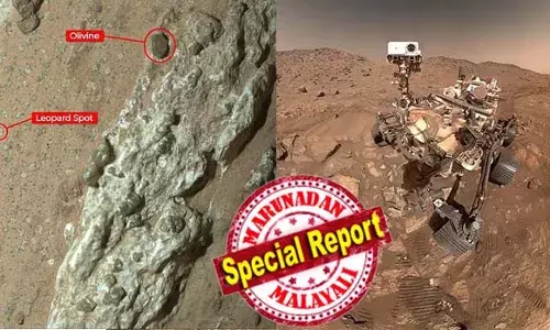 ചൊവ്വയില്‍ ജീവന്റെ തുടിപ്പുകള്‍ ശരിവെച്ച് ഒരു കണ്ടെത്തല്‍ കൂടി; പുരാതന സൂക്ഷ്മജീവികളുടെ തെളിവുകള്‍ കണ്ടെത്തിയതായി നാസ;  ചെറിയ ജീവജാലങ്ങളുടെ നിലനില്‍പ്പിലേക്ക് വിരല്‍ചൂണ്ടി പോപ്പി വിത്തുകള്‍