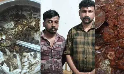 വീട്ടില്‍ വച്ച് പാമ്പിനെ കറിയാക്കി; പാണപ്പുഴയില്‍ പെരുമ്പാമ്പിനെ കൊന്ന് കറിവച്ചു തിന്ന രണ്ട് യുവാക്കള്‍ അറസ്റ്റില്‍