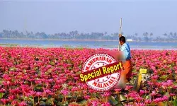 ജീവന് കയ്യില് പിടിച്ച് പിള്ളരേം കൊണ്ട് ഓടിയ ആ ഓട്ടമുണ്ടല്ലോ സാറേ, ജീവിതത്തില് മറക്കത്തില്ല; കുമരകം പൊലീസ് സ്റ്റേഷനില് വിളിച്ചപ്പോള് ആരും മരിച്ചില്ലല്ലോ... നിങ്ങള്ക്കാര്ക്കും ഒന്നും പറ്റിയില്ലല്ലോ... പിന്നെന്തിനാ വരുന്നതെന്ന് മറുപടി; തിരുവാര്പ്പ് മലരിക്കല് ആമ്പല്പ്പാടത്തില് കുടുംബം സഞ്ചരിച്ച വള്ളം മറിഞ്ഞപ്പോള് പൊലീസിന്റെ വിചിത്ര പ്രതികരണം ഇങ്ങനെ ജീവന് കയ്യില് പിടിച്ച് പിള്ളരേം കൊണ്ട് ഓടിയ ആ ഓട്ടമുണ്ടല്ലോ സാറേ, ജീവിതത്തില് മറക്കത്തില്ല; കുമരകം പൊലീസ് സ്റ്റേഷനില് വിളിച്ചപ്പോള് ആരും മരിച്ചില്ലല്ലോ... നിങ്ങള്ക്കാര്ക്കും ഒന്നും പറ്റിയില്ലല്ലോ... പിന്നെന്തിനാ വരുന്നതെന്ന് മറുപടി; തിരുവാര്പ്പ് മലരിക്കല് ആമ്പല്പ്പാടത്തില് കുടുംബം സഞ്ചരിച്ച വള്ളം മറിഞ്ഞപ്പോള് പൊലീസിന്റെ വിചിത്ര പ്രതികരണം ഇങ്ങനെ