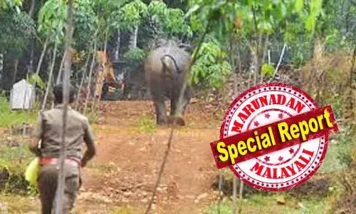 ജനവാസ മേഖലയിലിറങ്ങുന്ന വന്യമൃഗം ഒരാളെ ആക്രമിച്ച് പരിക്കേല്‍പ്പിച്ചാല്‍ ഉടന്‍ ആ വന്യമൃഗത്തെ കൊല്ലാന്‍ ഉത്തരവിടാന്‍ ചീഫ് വൈല്‍ഡ് ലൈഫ് വാര്‍ഡന് അധികാരം; നാടന്‍ കുരങ്ങുകളും ഇനി വന്യമൃഗം; ക്ഷുദ്ര ജീവിയുടെ ഇറച്ചി കഴിക്കുന്നവര്‍ക്കും ആശ്വാസം! കേരളത്തിന്റെ കേന്ദ്ര നിയമ ഭേദഗതി കരട് ബില്ലിന്റെ വിശദാംശങ്ങള്‍ ഇങ്ങനെ