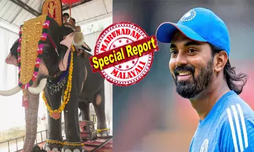 ക്ഷേത്ര കവാടത്തിന് മുന്നിൽ ഡൽഹിയിൽ നിന്നൊരു അതിഥി;11 അടി പൊക്കവും നല്ല ലക്ഷണമൊത്ത മുഖവും; പെട്ടെന്ന് ഭക്തരുടെ കണ്ണിൽ കണ്ടത് മന്ത്രികമായ കാഴ്ച; ശ്രീകൃഷ്ണ ജയന്തി ദിവസം തന്നെ സാക്ഷാൽ കെ.എൽ. രാഹുലിന്റെ വക കയ്യൊപ്പ്; സന്തോഷം പങ്ക് വെച്ച് തന്ത്രി