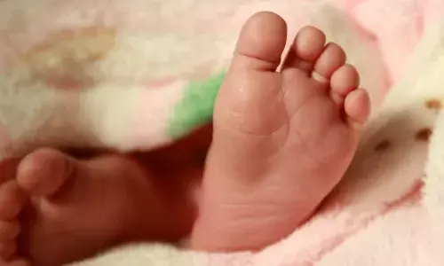 മണ്ണിനടിയിൽ നിന്ന് അസാധാരണ ശബ്ദം; ഉറുമ്പുകൾ പൊതിഞ്ഞ നിലയിൽ ഒരു വസ്തു; തുറന്നുനോക്കുമ്പോൾ ഞെട്ടൽ; ഒടുവിൽ ആട്ടിടയന്റെ ഇടപെടലിൽ രക്ഷ