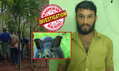കാട്ടുപന്നിയെ വേട്ടയാടി പിടിച്ച് മാംസം വിൽപ്പന നടത്തിയെന്ന് ആരോപിച്ച് അറസ്റ്റ് ചെയ്തു; ജാമ്യത്തിലിറങ്ങിയതും താങ്ങാൻ കഴിയാത്ത വിധം ഉള്ളിൽ വേദന; കാഞ്ഞിരക്കോട് യുവാവിനെ തൂങ്ങി മരിച്ച നിലയിൽ കണ്ടെത്തി; പ്രതിഷേധവുമായി നാട്ടുകാർ; കണ്ണീരായി മിഥുന്റെ മടക്കം