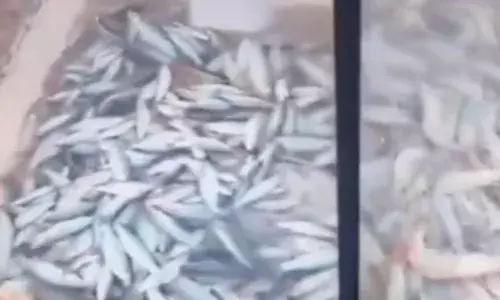 വല വീശി..വീശി അതിർത്തി കടന്നു; രാജ്യത്തേക്ക് നിയമവിരുദ്ധമായി കയറി മത്സ്യബന്ധനം; കുവൈറ്റിൽ 12 വിദേശ തൊഴിലാളികളെ പിടികൂടി