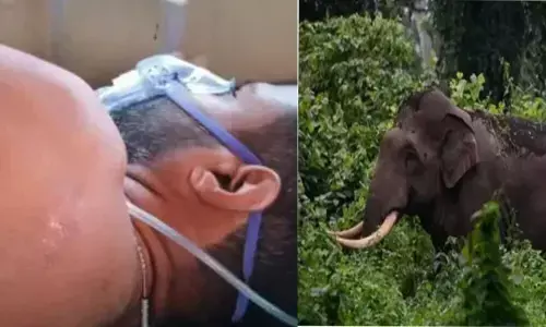 പാലോടിനെ ഞെട്ടിച്ച് കാട്ടാന ആക്രമണം; കൊമ്പന്റെ ചവിട്ടേറ്റ് സ്‌കൂട്ടർ യാത്രക്കാരന് ഗുരുതര പരിക്ക്; വാരിയെല്ലിന് പൊട്ടൽ ഉണ്ടെന്ന് വിവരങ്ങൾ; രക്ഷപ്പെട്ടത് ഭാഗ്യം കൊണ്ട്