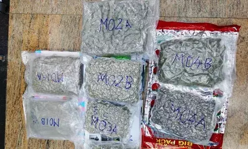 3.63 കോടി രൂപ മൂല്യമുള്ള ഹൈബ്രിഡ് കഞ്ചാവ് ഒളിപ്പിച്ച് കടത്താന്‍ ശ്രമം; കര്‍ണാടക സ്വദേശി തിരുവനന്തപുരം വിമാനത്താവളത്തില്‍ കസ്റ്റംസിന്റെ പിടിയില്‍