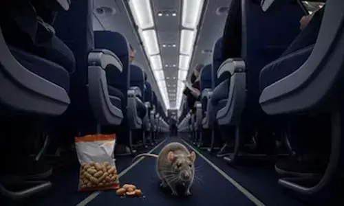 വിമാനത്തിനുള്ളിൽ എലി ഓടുന്നതായി കണ്ടെന്ന് യാത്രക്കാരൻ: ഇൻഡിഗോയുടെ യാത്ര വൈകിയത് മൂന്നുമണിക്കൂറിലധികം