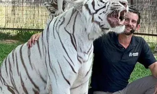 ഒക്ലഹോമയിലെ ഗ്രൗളര്‍ പൈന്‍സ് ടൈഗര്‍ പ്രിസര്‍വില്‍ റയാന്‍ ഈസ്ലി,  കടുവയുടെ ആക്രമണത്തില്‍ കൊല്ലപ്പെട്ടു