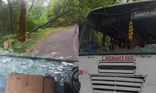 ഓടുന്ന ബസിന് മുകളിൽ മരം ഒടിഞ്ഞു വീണു; ഡ്രൈവര്‍ക്ക് പരിക്ക്; ആശുപത്രിയിൽ പ്രവേശിപ്പിച്ചു; സംഭവം പാലക്കാട്