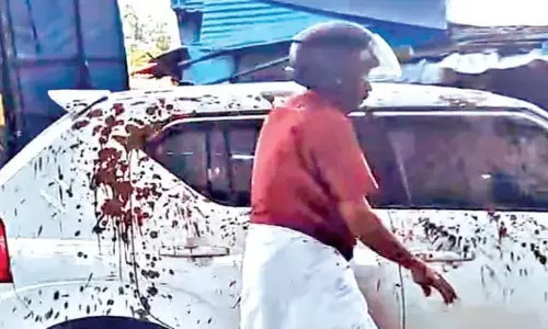 ശെടാ..; പണി പാലുംവെള്ളത്തില്‍ മാത്രമല്ല..ചെളിവെള്ളത്തിലും കൊടുക്കാം; നല്ല വൃത്തിയുള്ള വെള്ള കാറിൽ ചെളി വാരിയെറിയുന്ന ഒരാൾ; ഒടുവിൽ സത്യാവസ്ഥ അറിഞ്ഞപ്പോൾ സംഭവിച്ചത്