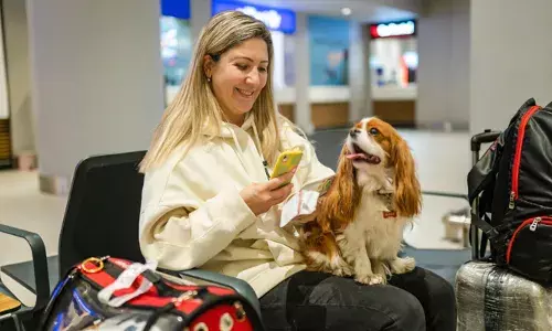 ഇനി നായകൾക്കും ടൂറിസ്റ്റ് ടാക്സ്; പേടിക്കണ്ട..ഇന്ത്യയിലല്ല; അങ്ങ് ദൂരെ ഇറ്റലിയിലാണെന്ന് മാത്രം..; നഗരത്തിലൂടെ ചുറ്റിക്കറങ്ങുന്ന നായകൾക്കും നികുതി ഏർപ്പെടുത്താൻ തീരുമാനം; കൂടുതൽ അറിയാം..