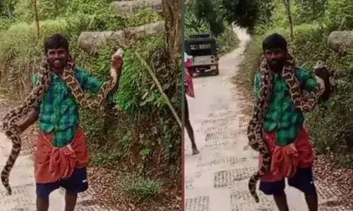 മലമ്പാമ്പിനെ കഴുത്തിലിട്ട് യുവാവിന്റെ കൈവിട്ട കളി; പാഞ്ഞെത്തി വനം വകുപ്പ്; രക്ഷപ്പെട്ടത് ഭാഗ്യം കൊണ്ട്; സംഭവം അട്ടപ്പാടിയിൽ