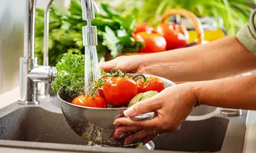 പച്ചക്കറികളും പഴങ്ങളും കഴുകി വൃത്തിയാക്കുമ്പോൾ ഈക്കാര്യം മറക്കരുത്; പ്രധാനമായും ശ്രദ്ധിക്കേണ്ട കാര്യങ്ങൾ; അറിയാം..