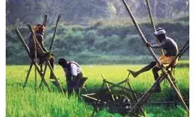 തുള്ളിനന പോലുള്ള ജലസേചന രീതികള്‍ സംസ്ഥാനത്തിന്റെ ആവശ്യനുസരണം പദ്ധതിയിലൂടെ നടപ്പിലാക്കും; സൂക്ഷ്മ ജലസേചന പദ്ധതികള്‍ക്ക് 100 കോടിയുടെ പദ്ധതിയുമായി കൃഷി വകുപ്പ്