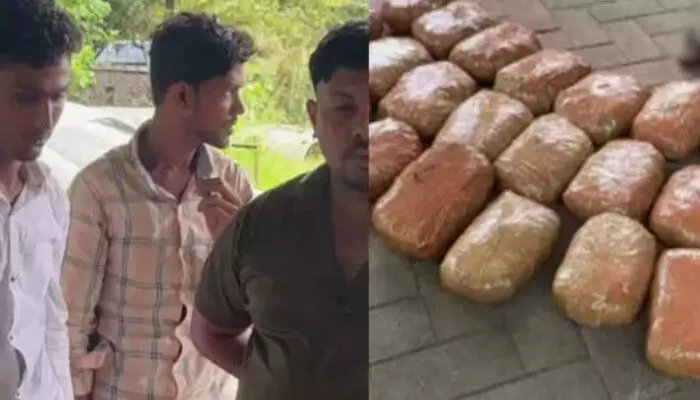 ഡോക്ടറുടെ സ്റ്റിക്കർ പതിപ്പിച്ചാൽ പൊക്കില്ലെന്ന് കരുതി..; പോലീസിന് തോന്നിയ സംശയത്തിൽ പരിശോധന; 45 കിലോ കഞ്ചാവുമായി ബംഗാളികൾ അറസ്റ്റിൽ; സംഭവം കൊച്ചിയിൽ ഡോക്ടറുടെ സ്റ്റിക്കർ പതിപ്പിച്ചാൽ പൊക്കില്ലെന്ന് കരുതി..; പോലീസിന് തോന്നിയ സംശയത്തിൽ പരിശോധന; 45 കിലോ കഞ്ചാവുമായി ബംഗാളികൾ അറസ്റ്റിൽ; സംഭവം കൊച്ചിയിൽ