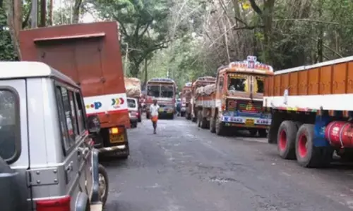 കേരള അതിർത്തി ചെക്ക് പോസ്റ്റുകളിൽ കണ്ടത് നിരനിരയായി കിടക്കുന്ന ടോറസ് ലോറികളെ; നാലു ചുറ്റും കനത്ത കാവൽ; കൂടെ രോഗങ്ങളുടെ സ്ക്രീനിംഗും; അനധികൃത മൃഗക്കടത്ത് തടയാൻ അധികൃതർ