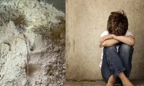 അംഗൻവാടിയിലെ അമൃതം പൊടിയിൽ കണ്ടത് പല്ലിയുടെ ജഡം; വെള്ളറടയിൽ രണ്ട് വയസുകാരിക്ക് ചര്‍ദ്ദിയും വയറിളക്കവും; അന്വേഷണം