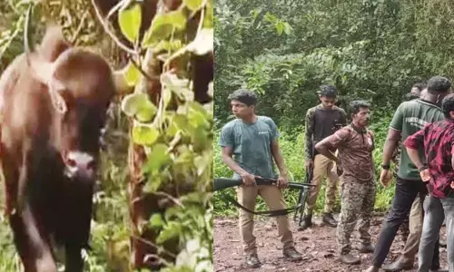 സുക്മ ജില്ലയില്‍ മാവോയിസ്റ്റ് ആയുധ നിര്‍മാണകേന്ദ്രം തകര്‍ത്ത് സുരക്ഷസേന