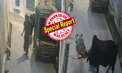 തന്റെ മുന്നിലൂടെ നടന്നെത്തിയ ഭീകര രൂപം കണ്ട് ആദ്യമൊന്ന് പരുങ്ങി; ശ്രദ്ധ ഒന്ന് തെറ്റിയതും തെരുവ് കാളയുടെ തനിനിറം പുറത്ത്; സെക്കൻഡുകൾ കൊണ്ട് യുവതിയെ കുത്തി വായുവിലേക്ക് എറിഞ്ഞ് ഭീതി; നിലവിളി കേട്ട് നാട്ടുകാർ ഓടിയെത്തിയപ്പോൾ ദയനീയ കാഴ്ച