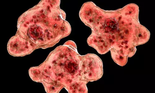 സംസ്ഥാനത്ത് ഒരാള്‍ക്ക് കൂടി അമീബിക് മസ്തിഷ്‌ക ജ്വരം; രോഗം സ്ഥിരീകരിച്ചത് കോഴിക്കോട് മെഡിക്കല്‍ കോളജില്‍ ചികിത്സയില്‍ കഴിയുന്ന ആറു വയസ്സുകാരിക്ക്