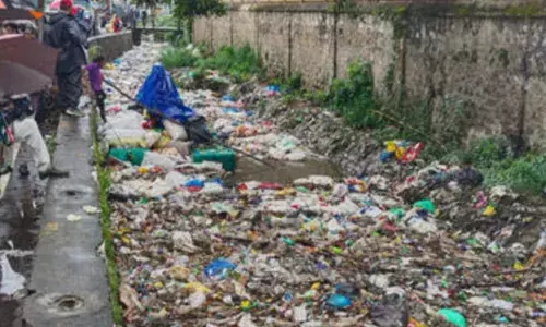 ഇനി ഈ തോട്ടിൽ അത്തരം പരിപാടികൾ വേണ്ട; കമാന വേലി വരുന്നു; നടപടി മനുഷ്യാവകാശ കമ്മീഷന്‍റെ ഇടപെടലിൽ; ശുചിത്വമിഷനും ജില്ലാ കളക്ടർ നിർദ്ദേശം നൽകി