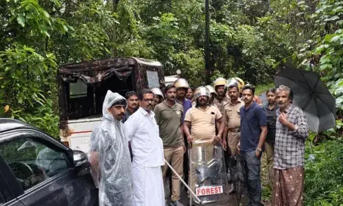 ക്യാമറയില്‍ കുടുങ്ങിയില്ല: അയ്യന്‍കുന്നില്‍ കടുവയുടെ സാന്നിധ്യമില്ലെന്ന് വനംവകുപ്പ്