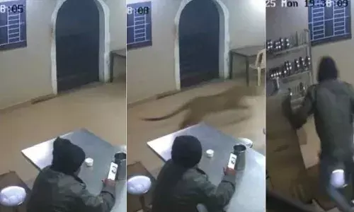 ചായ കുടിച്ചുകൊണ്ടിരുന്നപ്പോള്‍ ശബ്ദം കേട്ട് നോക്കിയപ്പോള്‍ പൂച്ച; പിന്നാലെ കയറി വന്ന അപ്രതീക്ഷിത അതിഥിയെ കണ്ട് ഞെട്ടി യുവാവ്; രക്ഷപ്പെട്ടത് രലനാരിഴയ്ക്ക്; പൂച്ചയെ പിടിക്കാന്‍ പുലി കാന്റ്‌നീല്‍; വീഡിയോ വൈറല്‍