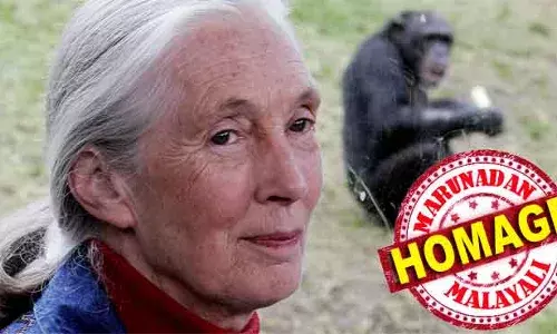 വര്‍ഷങ്ങളായി ചിമ്പാന്‍സികള്‍ എന്നെ പഠിപ്പിച്ചത് അവര്‍ നമ്മളെപ്പോലെയാണ് എന്നതാണ്; മനുഷ്യര്‍ക്കും മൃഗങ്ങള്‍ക്കും ഇടയിലുള്ള അതിര്‍ത്തി അവര്‍ കുറച്ചു ലണ്ടനില്‍ ജനിച്ച് ആഫ്രിക്കയിലെത്തി ലൂയി ലീക്കിയുടെ കീഴില്‍ പഠനം;  ലീക്കിയുടെ മാലാഖമാരില്‍ പ്രധാനിയും ഇനി ഓര്‍മ്മ; നരവംശ ശാസ്ത്രജ്ഞ ഡോ. ജെയ്ന്‍ ഗുഡാള്‍ അന്തരിച്ചു