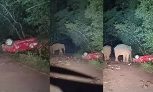 തകരാറിലായതിനെ തുടർന്ന് വാഹനം റോഡരികിൽ നിർത്തിയിട്ടു; കാർ തകർത്ത് കാട്ടാനക്കൂട്ടം; സംഭവം അതിരപ്പിള്ളിയിൽ
