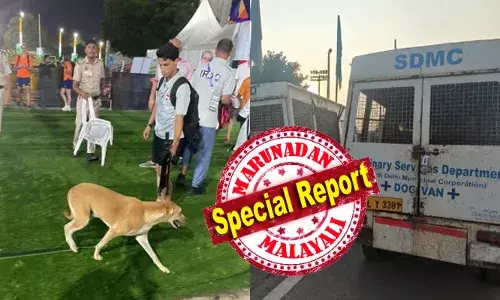 പാരാ അത്‍ലറ്റിക്‌സ് ചാമ്പ്യൻഷിപ്പ് നടക്കുന്ന സ്റ്റേഡിയത്തിന് സമീപം തെരുവുനായ്ക്കളുടെ ആക്രമണം; കടിയേറ്റത് 2 വിദേശ പരിശീലകർക്ക്; ഡൽഹിയിലെ ജവഹർലാൽ നെഹ്‌റു സ്റ്റേഡിയത്തിലുണ്ടായത് ആശങ്കാജനകമായ സംഭവമെന്ന് ടീം ഡോക്ടർ