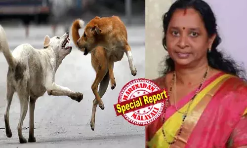 തെരുവുനായ കടിച്ചത് പുരികത്ത്; വാക്സിന്‍ മുഴുവന്‍ എടുത്തിട്ടും വീട്ടമ്മ പേ വിഷബാധയേറ്റ് മരിച്ചു; പത്തനംതിട്ട ജില്ലയില്‍ ഇത് മൂന്നാമത്തെ സംഭവം; പ്രതിരോധ വാക്സിന്റെ ഗുണനിലവാരമോ കടിയേറ്റ സ്ഥാനമോ കുഴപ്പമുണ്ടാക്കിയത്? ആരോഗ്യവകുപ്പ് വീണ്ടും പ്രതിസന്ധിയില്‍