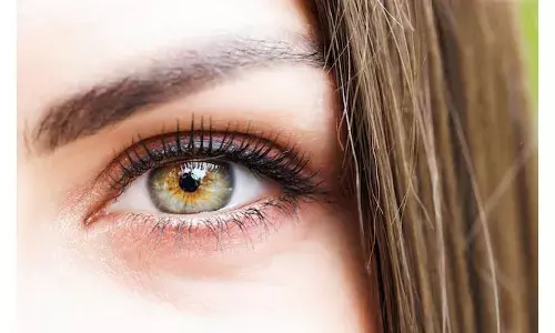 മീനും നട്സും എല്ലാം ബെസ്റ്റാ..; കണ്ണുകളുടെ നല്ല ആരോഗ്യത്തിന് കഴിക്കേണ്ട ഭക്ഷണങ്ങൾ അറിയാം..