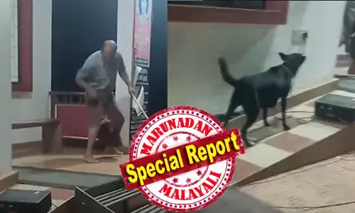 നീ ഞങ്ങള്‍ക്ക് എതിരെ നാടകം കളിക്കും അല്ലേട....; തെരുവുനായ ആക്രമണങ്ങളെക്കുറിച്ചുള്ള ബോധവല്‍ക്കരണ പരിപാടിയുടെ ഭാഗമായി ഏകപാത്ര നാടകം കളിക്കുന്നതിനിടെ തെരുവ് നായയുടെ ആക്രമണം; നാടകത്തിനിടെ സ്റ്റേജിലെത്തി നടനെ നായ കടിച്ചു