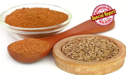 അടുക്കളയില്‍ ഒന്നുകയറൂ, മറവി രോഗത്തെ അകറ്റൂ! ഭരണികളില്‍ അടച്ചുവച്ചിരിക്കുന്ന കുങ്കുമുപ്പൂവും, ജീരകവും ഏലവും ഇറാനില്‍ നിന്നുള്ള സുമാക്കും തലച്ചോറിന്റെ പവര്‍ഹൗസുകള്‍; മറവിരോഗം വരാതിരിക്കാന്‍ പുതിയ ചേരുവകളുമായി ദക്ഷിണ കൊറിയന്‍ ശാസ്ത്രജ്ഞര്‍