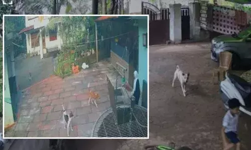 മദ്രസയിലേക്ക് പോകുന്നതിനിടെ തെരുവുനായ്ക്കള്‍ വളഞ്ഞു; കൈ വീശിയും നിലവിളിച്ചും നായക്കൂട്ടങ്ങളെ പിന്തിരിപ്പിച്ച് പത്താം ക്ലാസുകാരന്‍; കടിയേല്‍ക്കാതെ രക്ഷപ്പെട്ടത് തലനാരിഴയ്ക്ക്