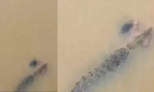 വസ്ത്രങ്ങൾ അലക്കാനായി ഇറങ്ങിയ സ്ത്രീയെ കടിച്ചുവലിച്ച് നദിയിലൂടെ നീന്തി മുതല; 55കാരിക്ക് ദാരുണാന്ത്യം; കുടുംബത്തിന് 10 ലക്ഷം രൂപ നഷ്ടപരിഹാരം പ്രഖ്യാപിച്ച് വനംവകുപ്പ്