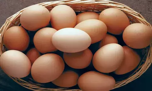 മുട്ടതീറ്റിമത്സരത്തിനിടെ മുട്ട തൊണ്ടയില്‍ കുരുങ്ങി; യുവാവിന് രക്ഷകനായത് സിവില്‍ ഡിഫന്‍സ് അംഗം