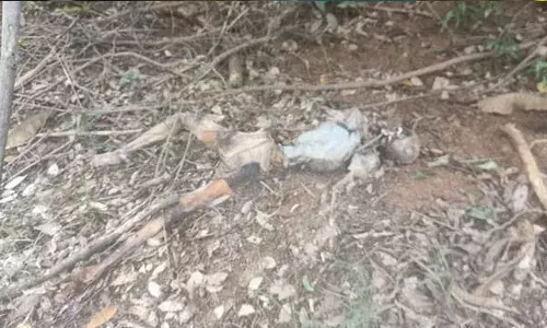 പൊന്മുടിയിൽ ജലാശയത്തിൽ നിന്നും രണ്ടുമാസം പഴക്കമുള്ള അസ്ഥികൂടം കണ്ടെത്തി; പുരുഷന്റേതെന്ന് പ്രാഥമിക നിഗമനം; അന്വേഷണം ആരംഭിച്ച് പോലീസ്