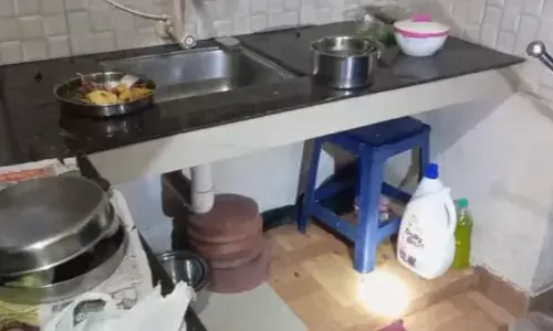 അടുക്കളയിലെ സ്ലാബിനടിയിൽ ഒരു കറുത്ത രൂപം; ഇടയ്ക്ക് ശ്വാസം വിടുന്നതും വ്യക്തമായി കാണാം; അടുത്ത് ചെന്നതും ചീറ്റൽ; പിന്നാലെ ഭീകര കാഴ്ച